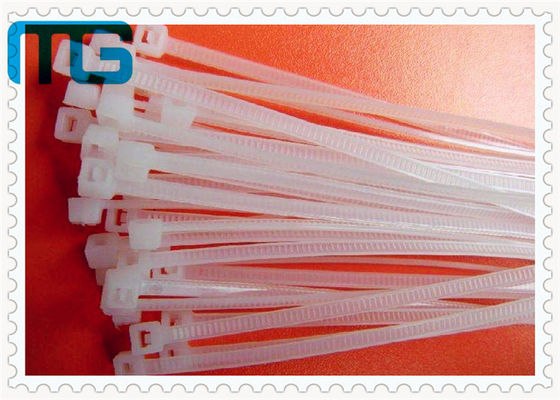 China Faça sob medida o auto de nylon personalizado das cintas plásticas que trava as correias plásticas 100pcs do laço fornecedor